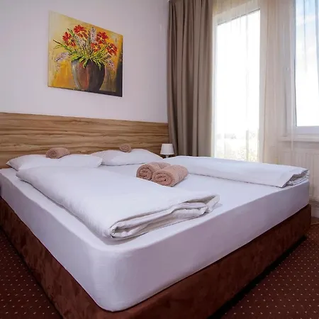 布拉迪斯拉发加尼飞行员酒店 酒店 布拉迪斯拉发